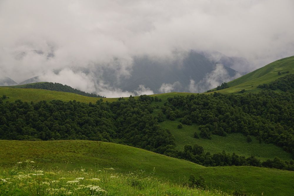 Облачный Актопрак