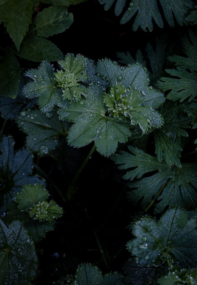 Photograph by Ольга Шиляева