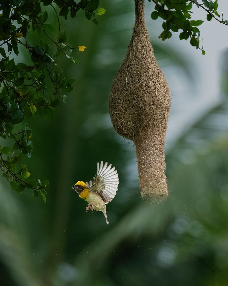 Фотография автора Anandhu M