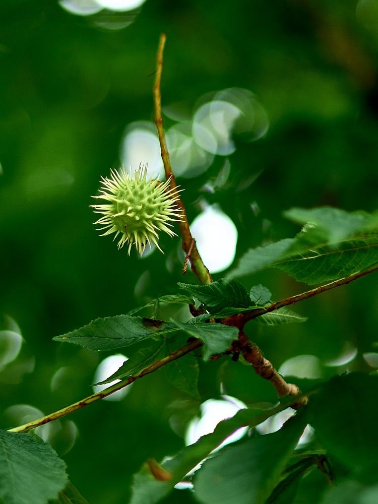 Photograph by Ксения Щербань