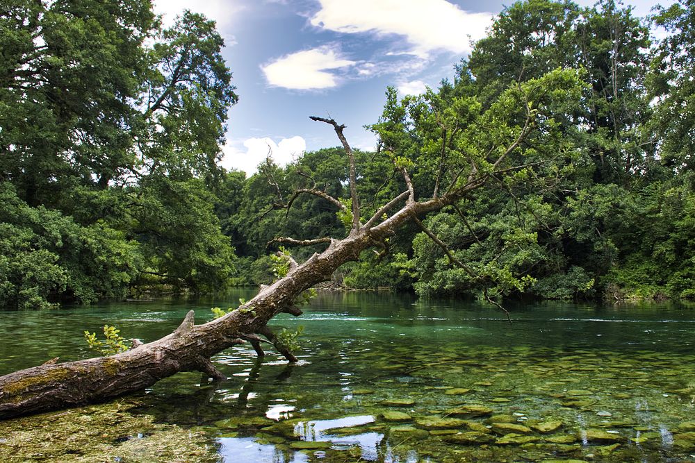 Photograph by Stojan Saveski