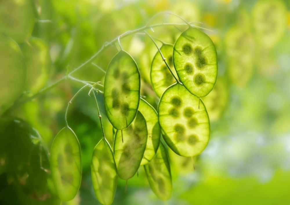 Photograph by LYUDMYLA POKRYSHEN