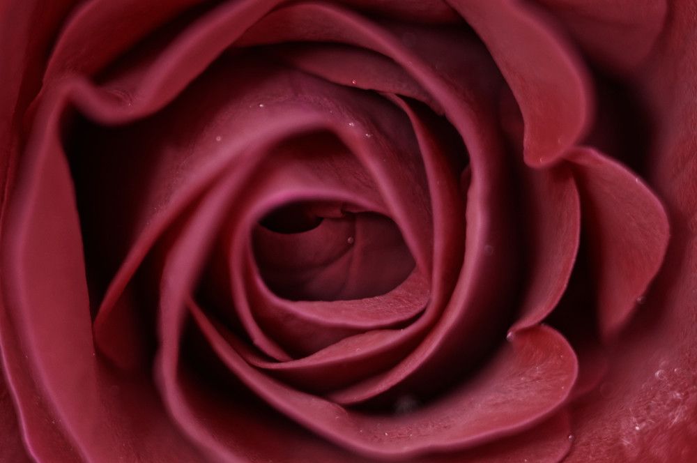 Photograph by Ольга Новикова