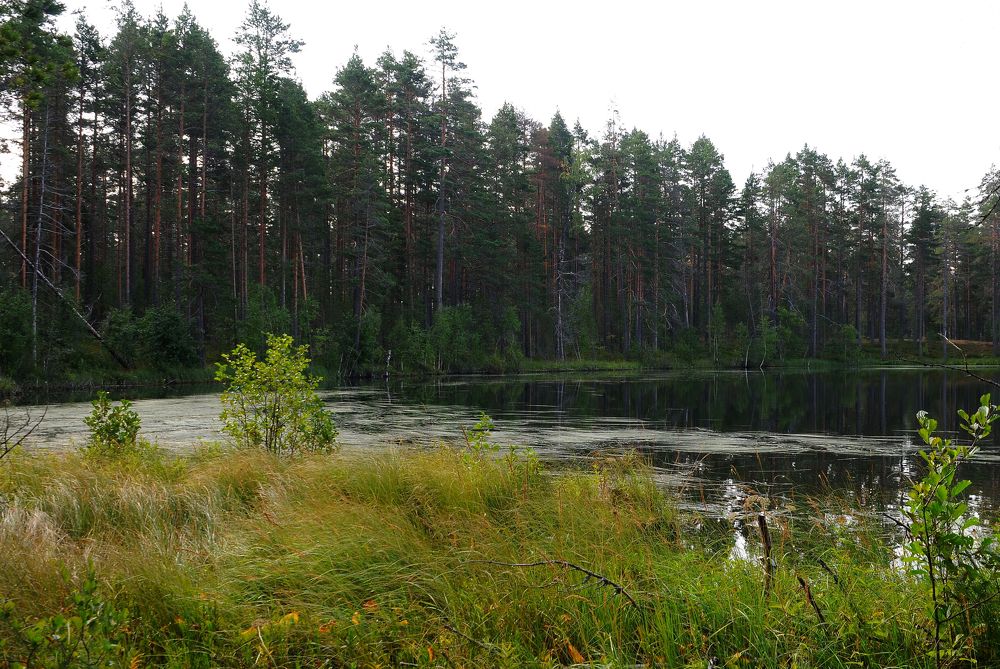 Photograph by Владимир