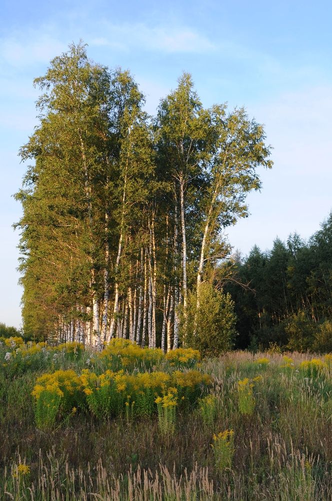 Photograph by Владимир