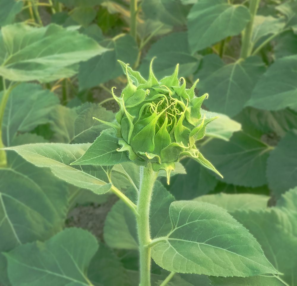 Photograph by Martina Bortoluzzi