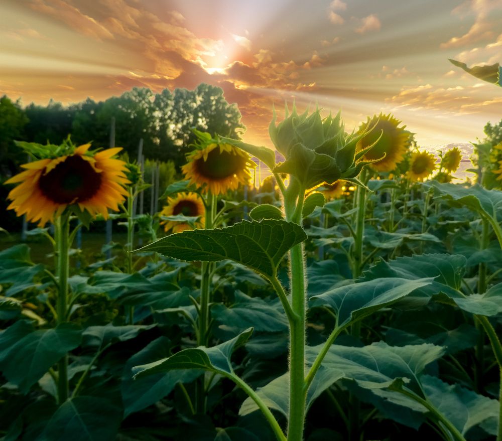 Photograph by Martina Bortoluzzi