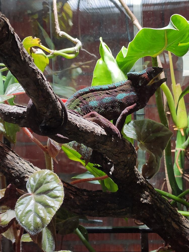 Photograph by Сидорова Ирина