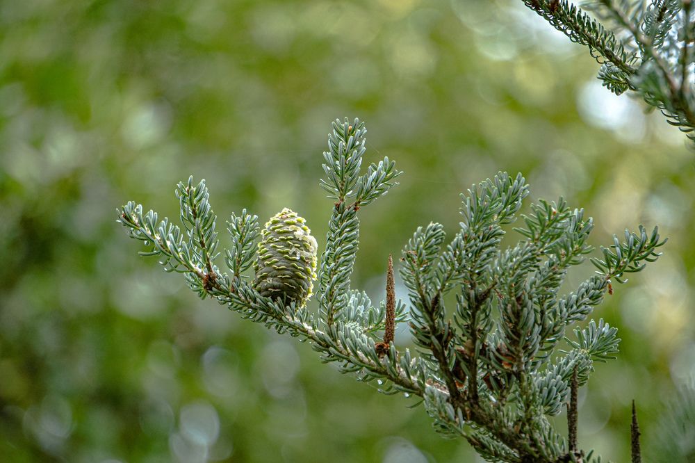 Photograph by Алфия Бугакова