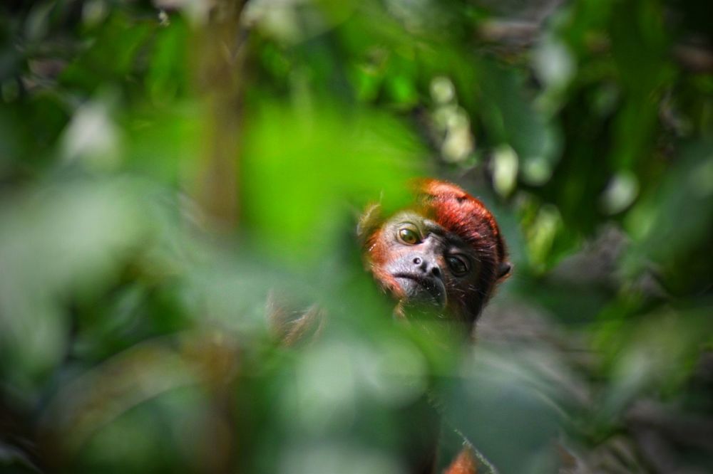 Photograph by Ivo Damen