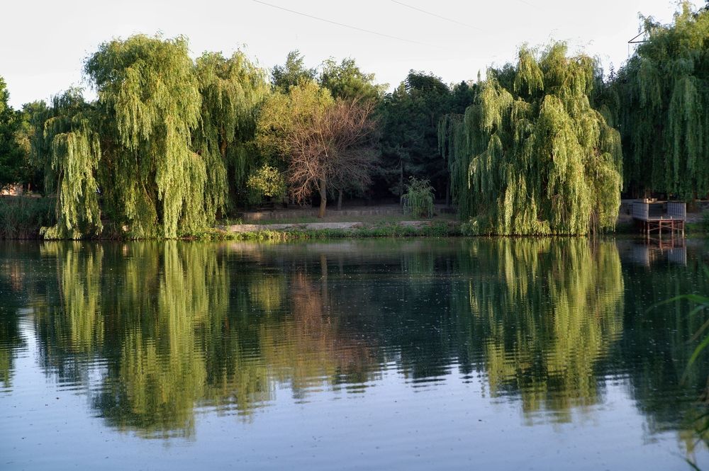 Photograph by АНДРЕЙ Роев