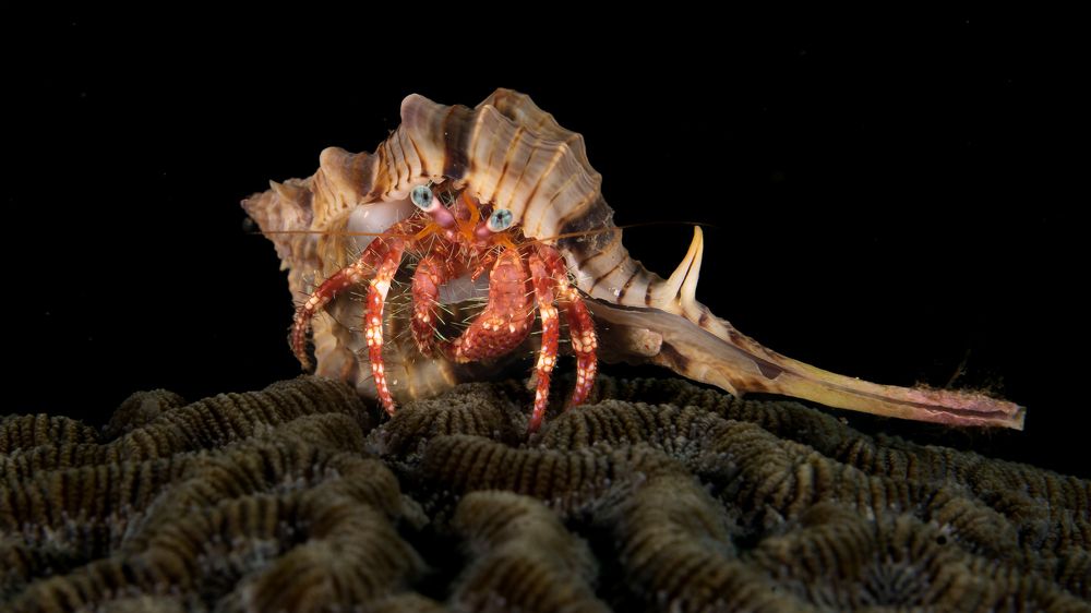 Photograph by Santiago Estrada R