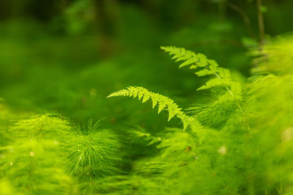 Photograph by Дмитрий Сдобин