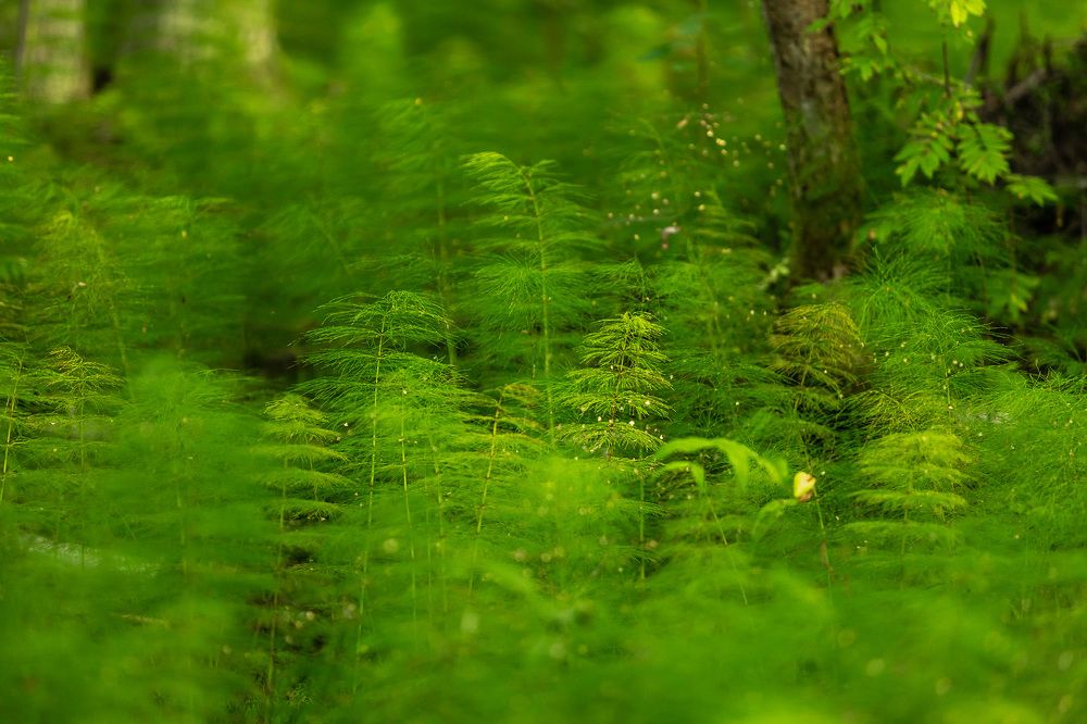 Photograph by Дмитрий Сдобин