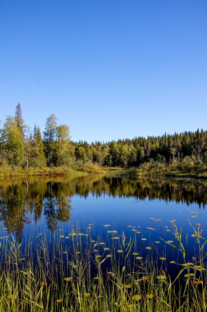 Photograph by Александр Трифанов