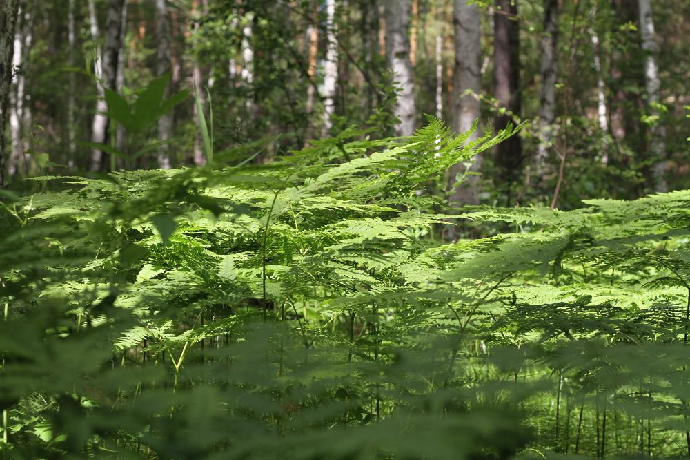 Photograph by Марина Савченко