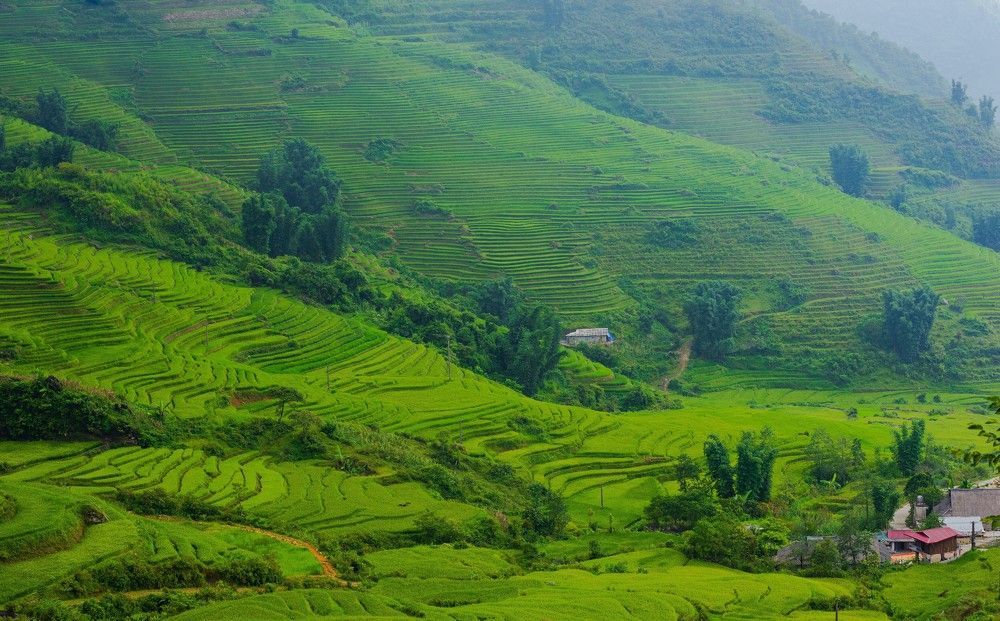 Photograph by Duc Nguyen