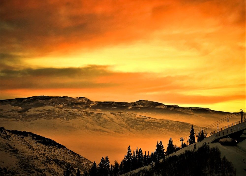 Photograph by michael shaffer