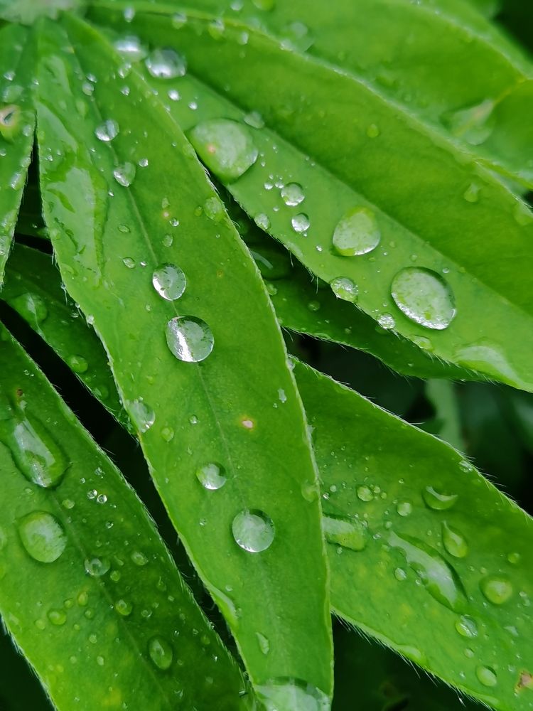 Photograph by Наталья Круглова