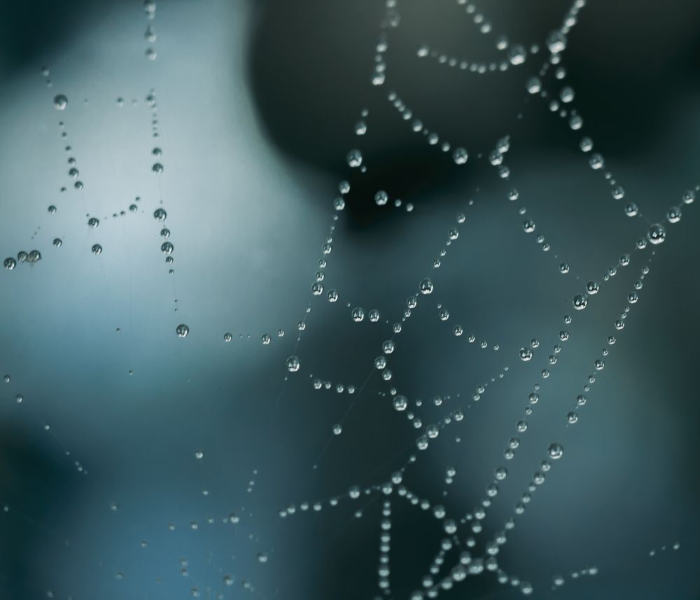 Photograph by Олеся Козлова
