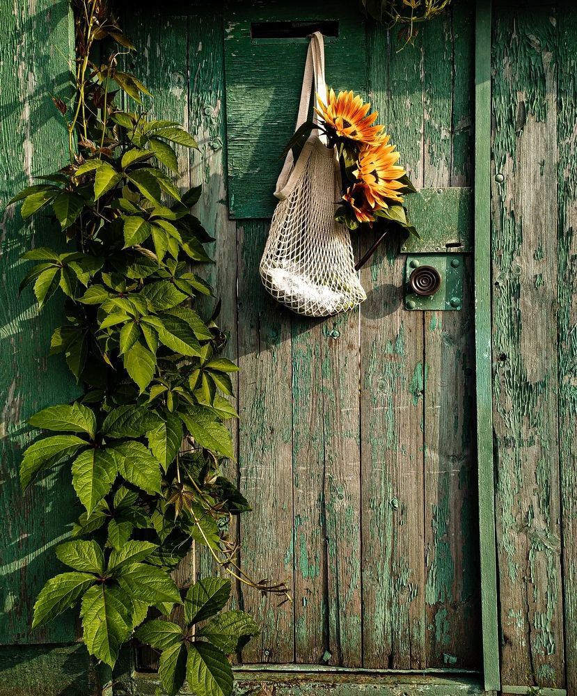 Photograph by Ирина Красильникова