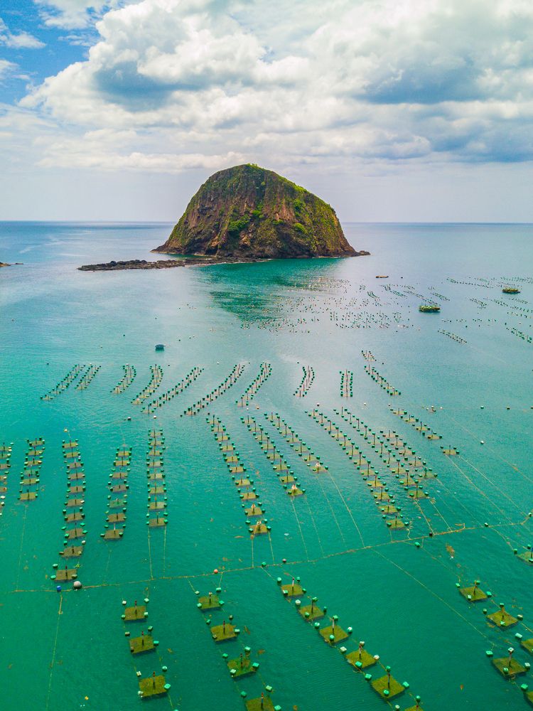 Water-based shrimp farming