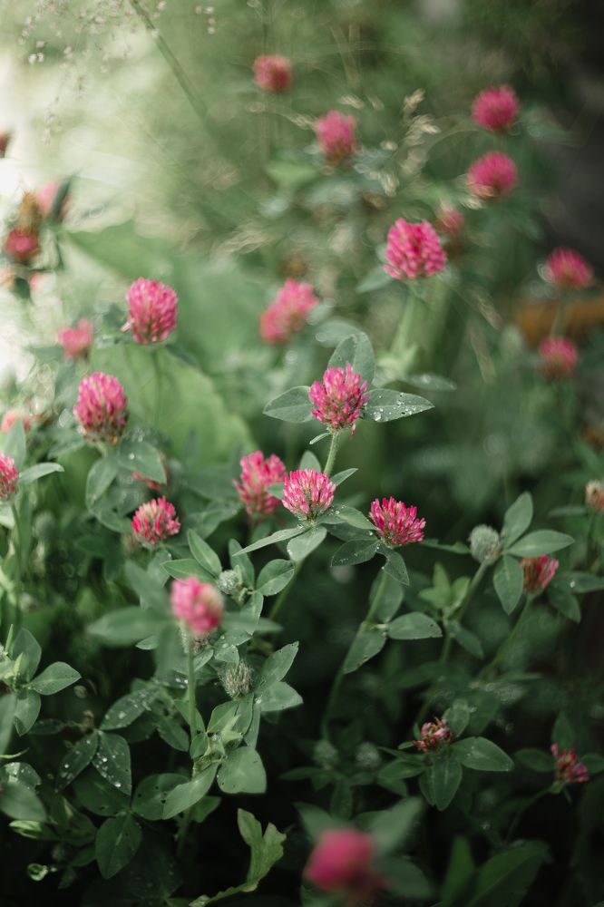 Photograph by Корчагина Оксана