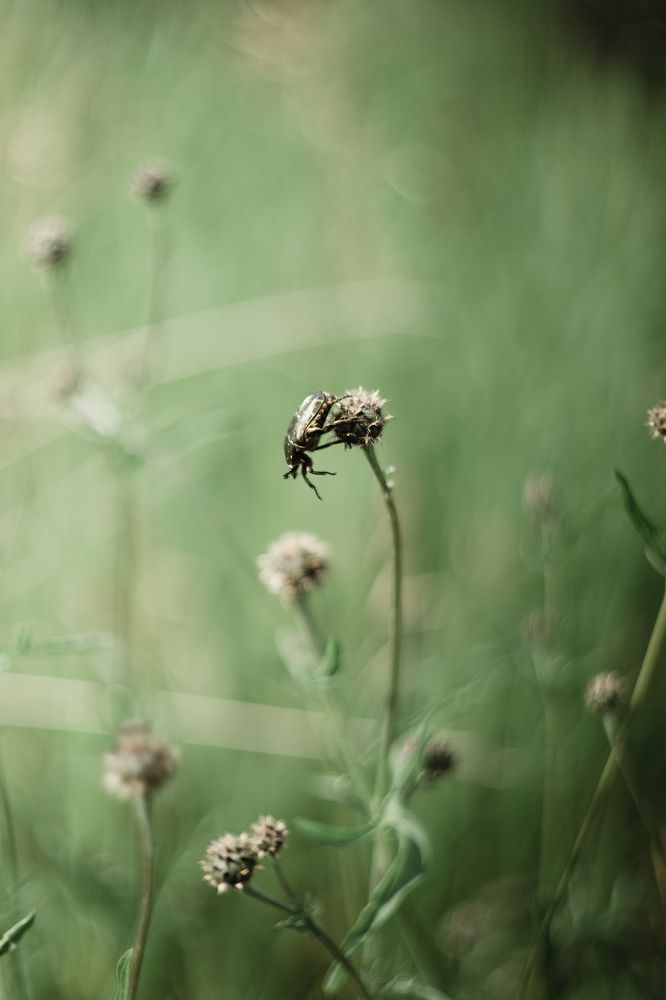 Photograph by Корчагина Оксана