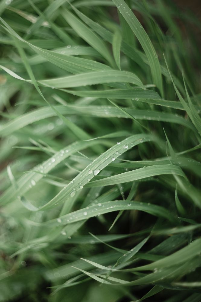 Photograph by Корчагина Оксана