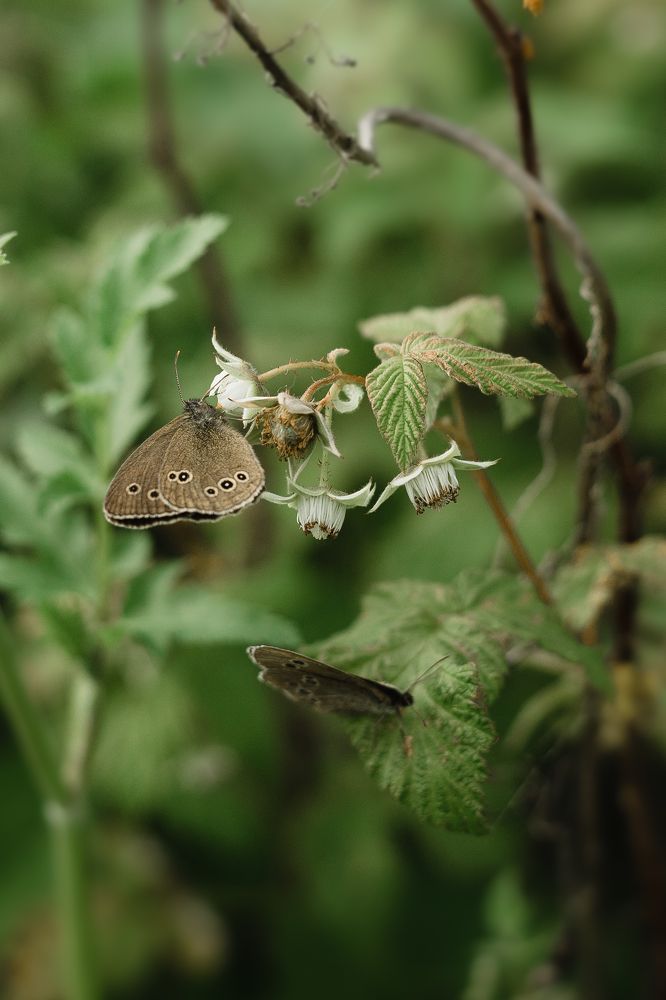 Photograph by Корчагина Оксана