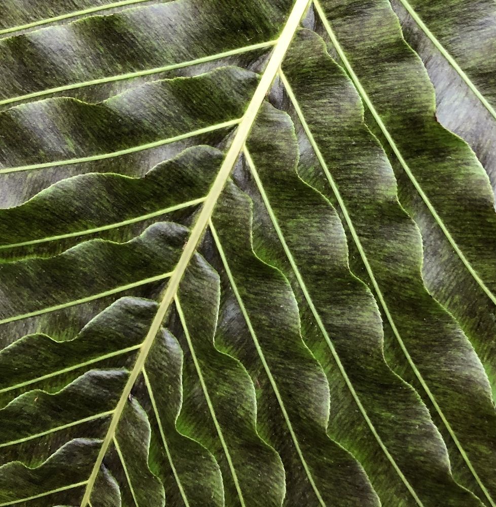 Photograph by Мария Бессмертная