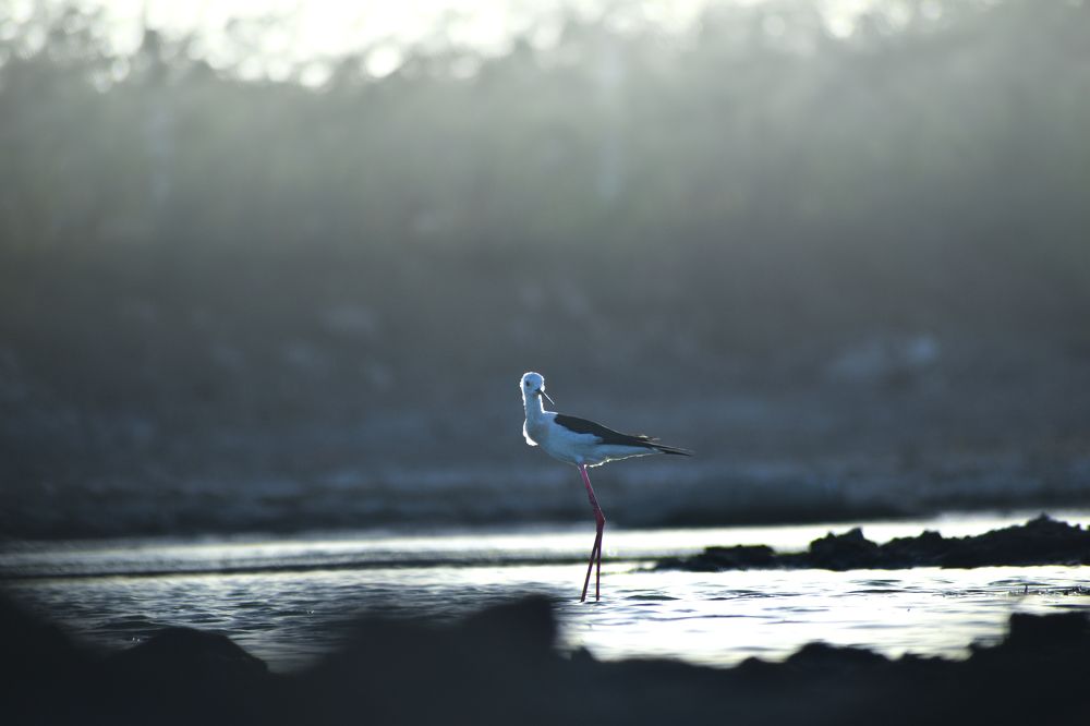 Photograph by Devang soni