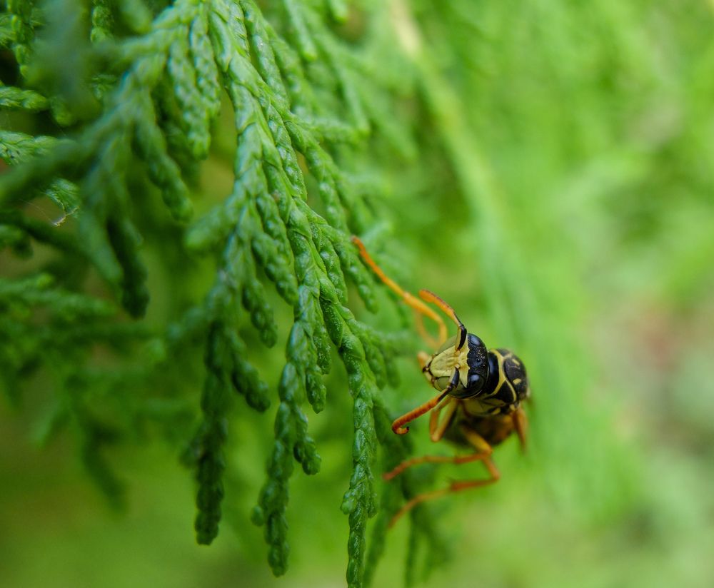 Photograph by Константин Бокарев