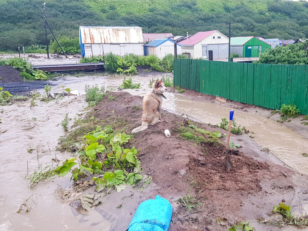 Photograph by Елена Котенко