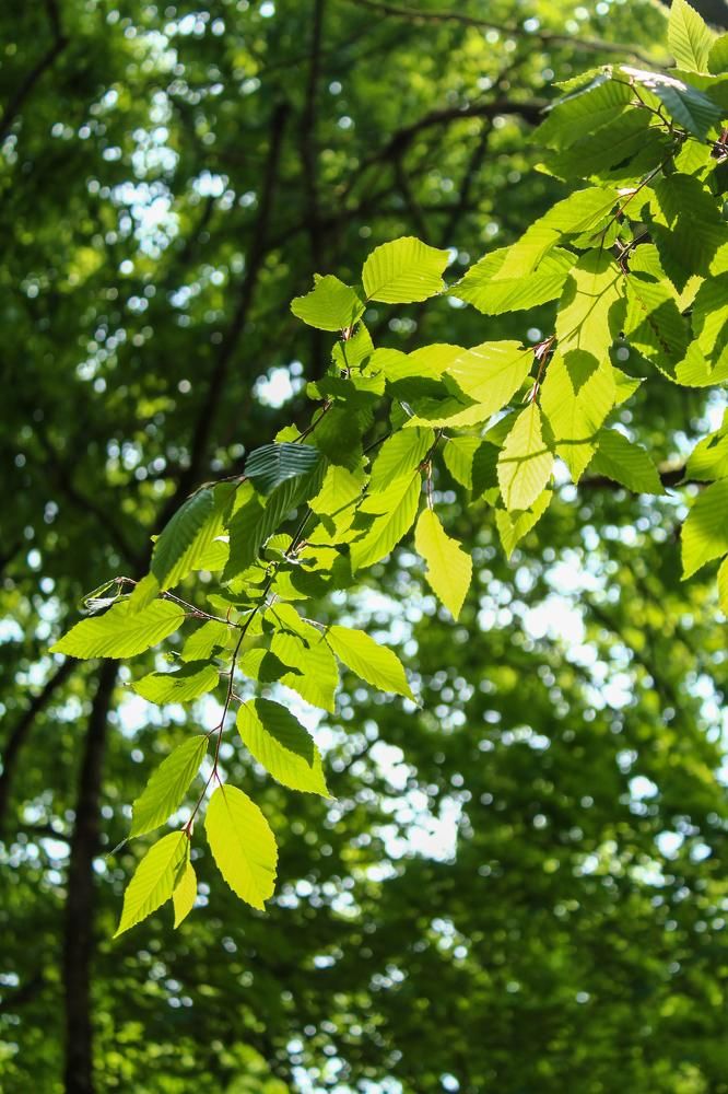 Photograph by talanavard farzad