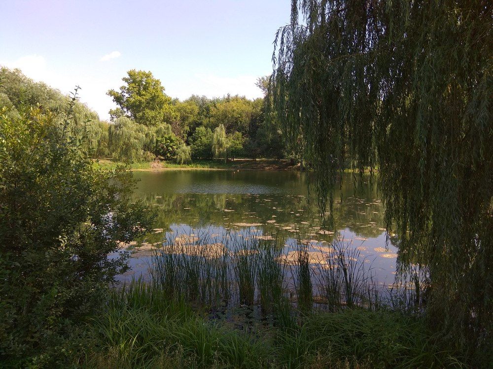 Photograph by Сергей Марцев
