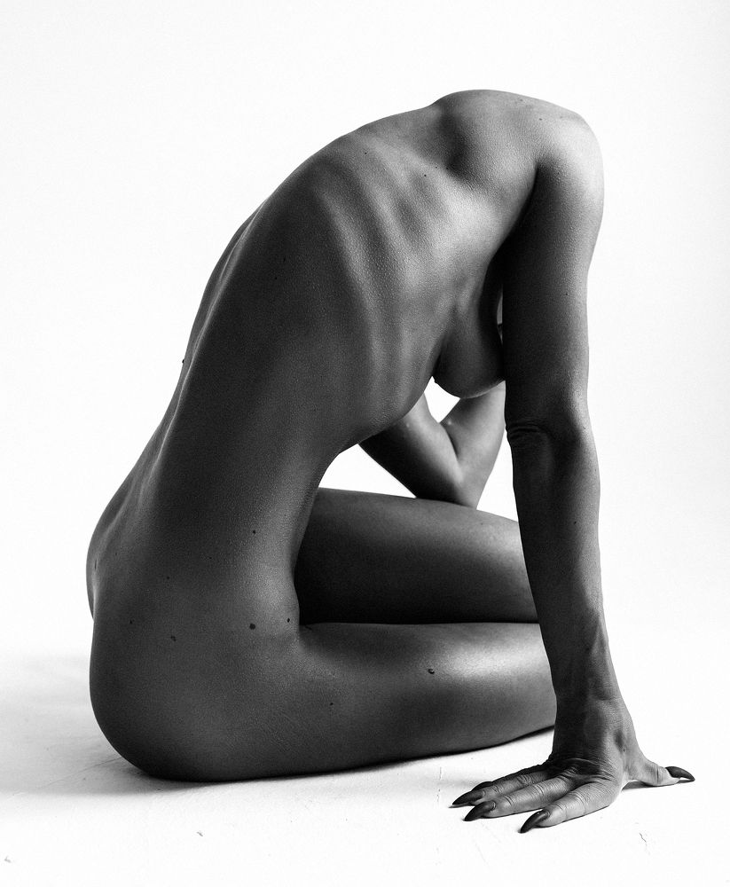 Фотография автора Владимир Никитин