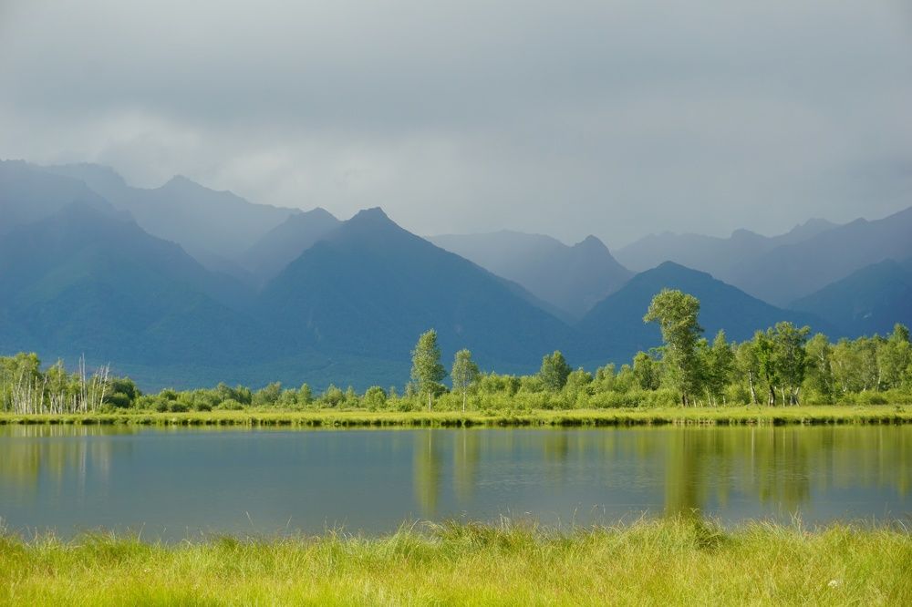 Койморские озера