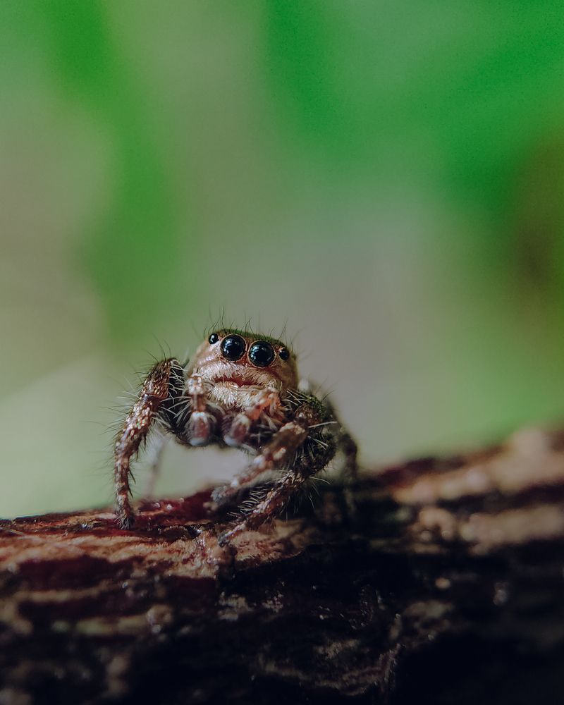 Photograph by MUHAMMED ANAS