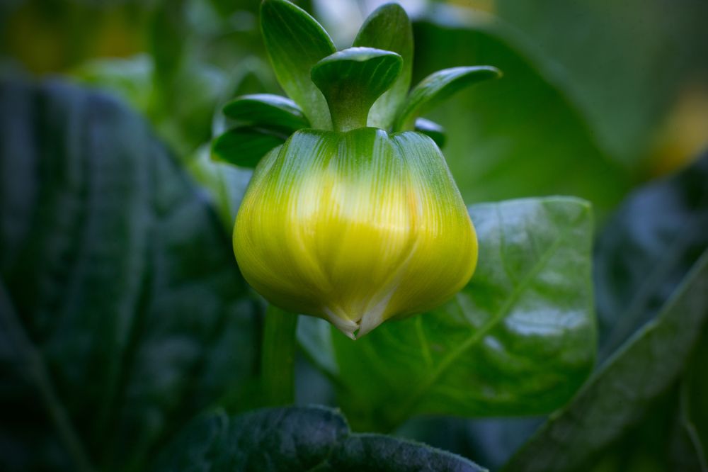 Photograph by Руслана Валеева