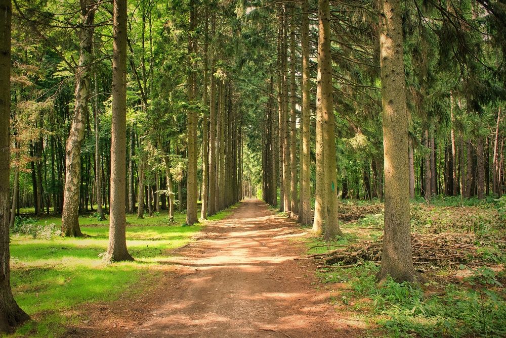 Photograph by Павел Стаценко