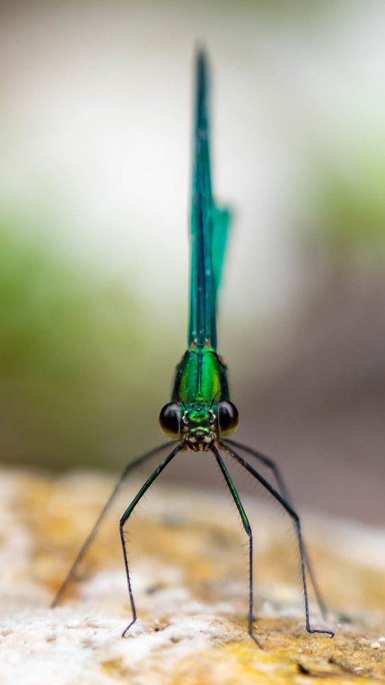 Photograph by shubham gupta