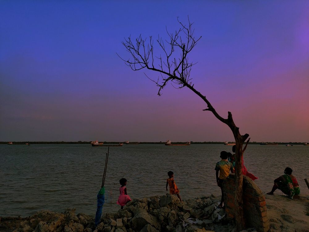 The colours of Nature