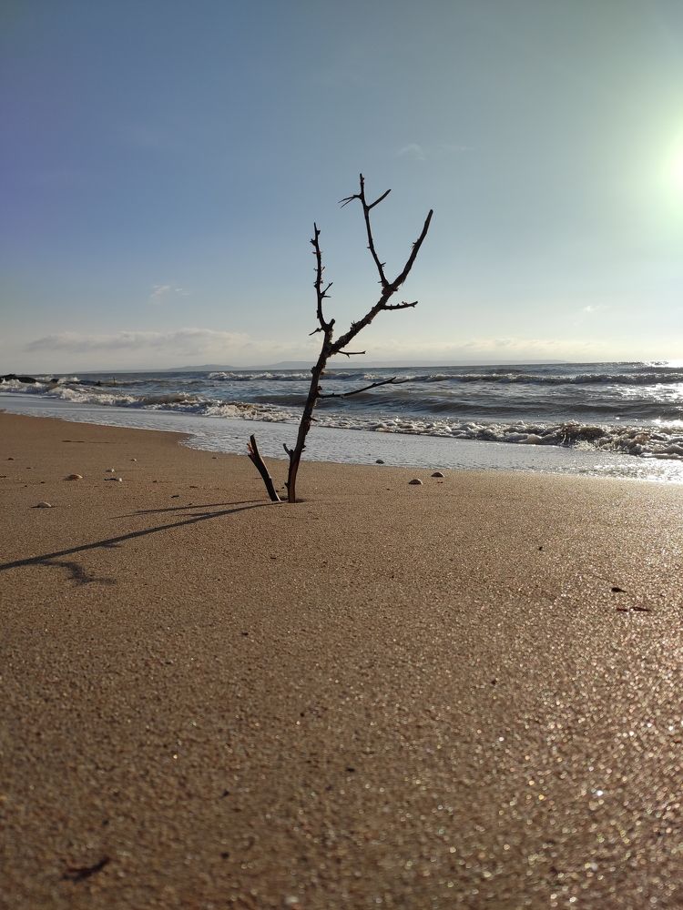 Photograph by Сидорова Ирина