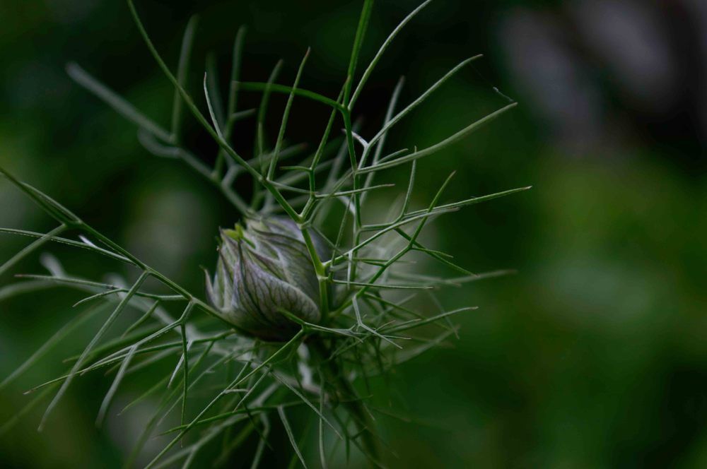 Photograph by Елена Безгинова
