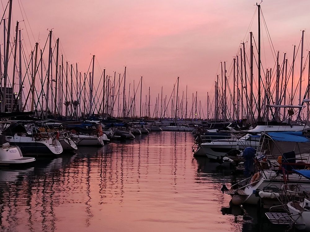 Photograph by Anna Strelzov