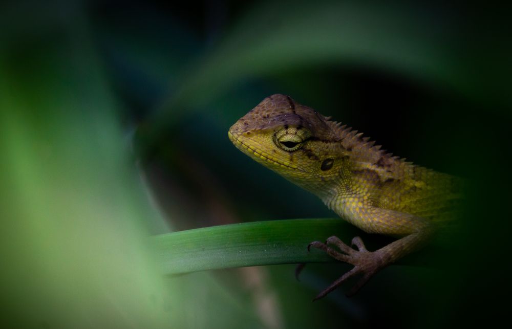 Photograph by shubham gupta