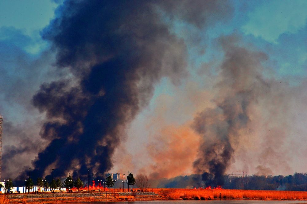 Photograph by Дмитрий Волков