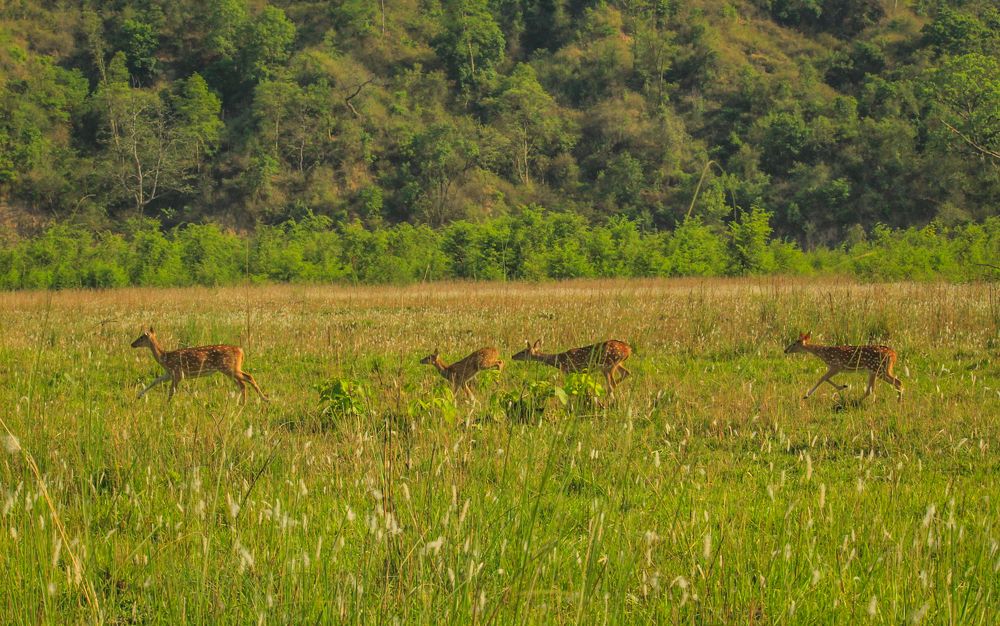 Photograph by Anshuman Tiwari