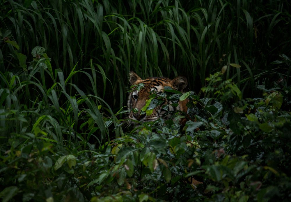 Photograph by Anshuman Tiwari